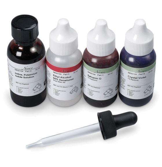 Four small dropper bottles of different colored liquids sit in a row, with a dropper laying in front of them.