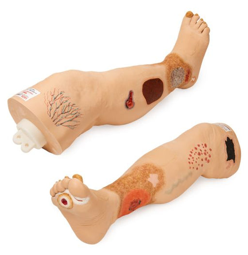 Two prosthetic legs lie side-by-side on a surface. One leg is slightly angled, showing both the calf and foot sections with simulated wounds. The other leg displays similar features.