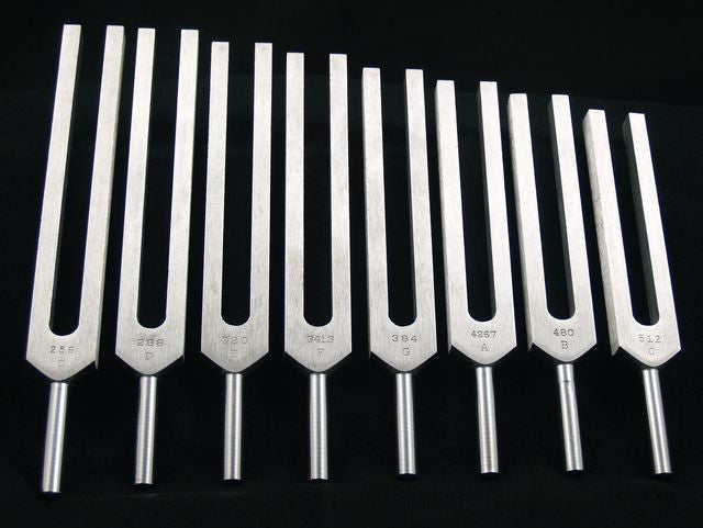 Eleven tuning forks are arranged in a slightly curved row on a black background. They appear to be made of metal.